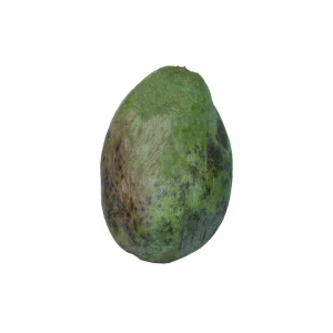 انبه مصری