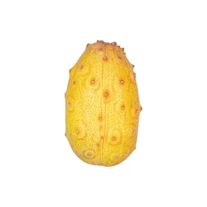 کیوانا