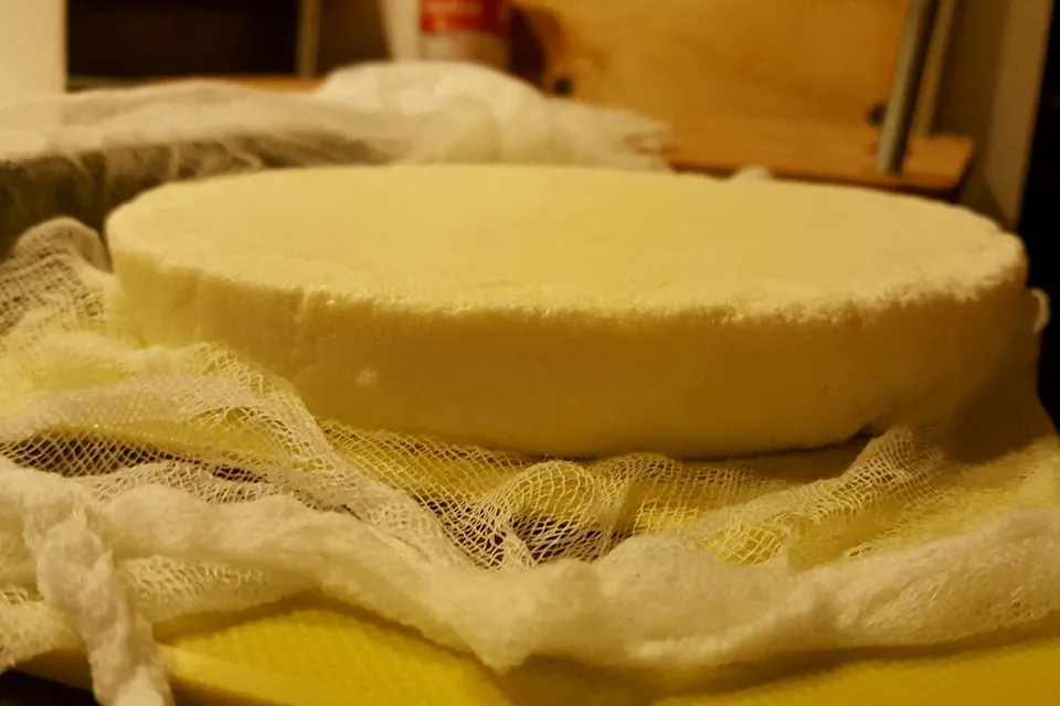 پنیر پارمسان خانگی