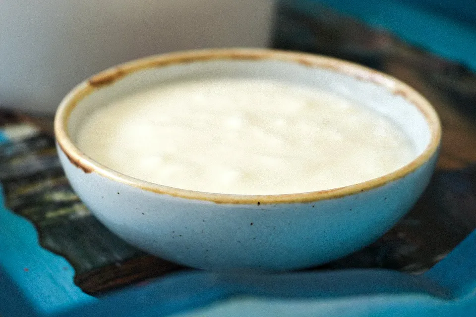 طرز تهیه ماست خانگی