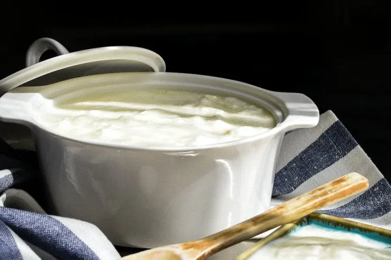 طرز تهیه ماست خانگی