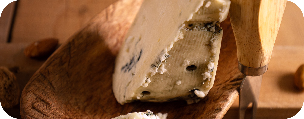 anbarpanir-gorgonzola-chesee-figma-030605-01