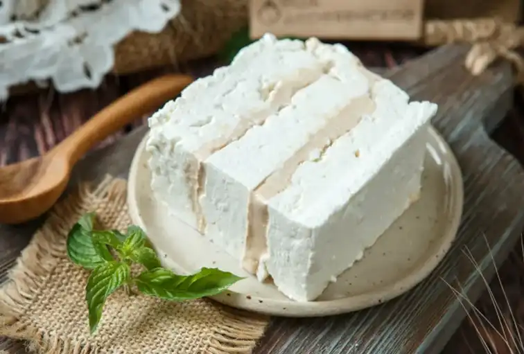 طرز تهیه پنیر با ماست