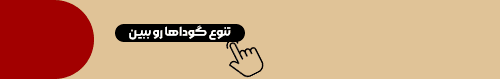 خرید پنیر گودا