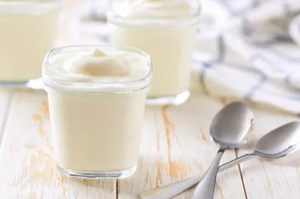 طرز تهیه ماست پروبیوتیک